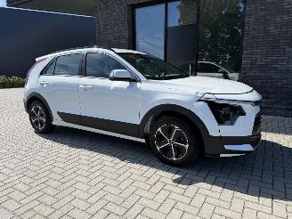 Kia Niro 1.6 GDI PHEV 142PK DCT Aut. DynamicLine picture 2