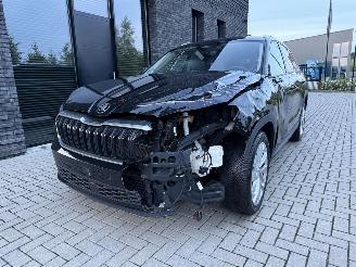 Skoda Kodiaq 1.5 TSI MHEV 150PK DSG7 Business Plus 7-Personen PANO! picture 15