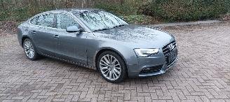 Audi A5 A5 Sportback 2.0-TDi Automaat Navi Bi-xenon&Led Led-Achterlichten Climatecontrol CruiseControl Stoelverwarming Lichtautomaat Regensensor Trekhaak Parkeersensoren 18-inch Audi velgen picture 10