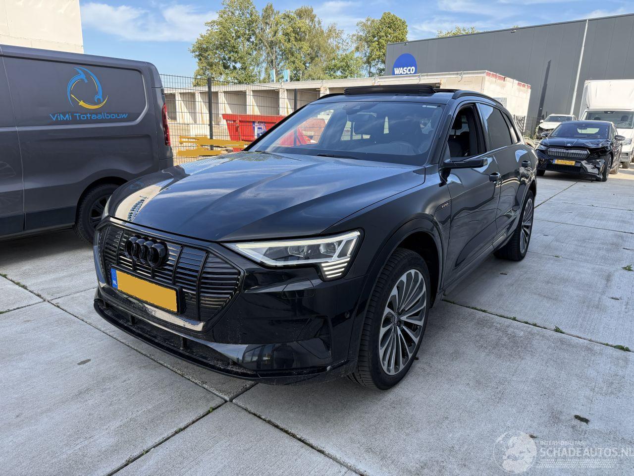 Audi E-tron 55 quatro Proline -PANO-LEDER-CAMERA-NAVI-408 PK