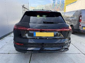 Audi E-tron 55 quatro Proline -PANO-LEDER-CAMERA-NAVI-408 PK picture 8