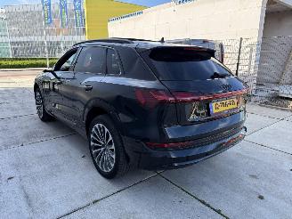 Audi E-tron 55 quatro Proline -PANO-LEDER-CAMERA-NAVI-408 PK picture 4