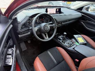 Mazda CX-30 2.5 e-SkyActiv-G M Hybrid Nagisa-LEDER-CAMERA-NAVI-HUD picture 3