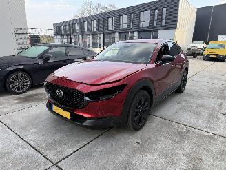 Mazda CX-30 2.5 e-SkyActiv-G M Hybrid Nagisa-LEDER-CAMERA-NAVI-HUD picture 2