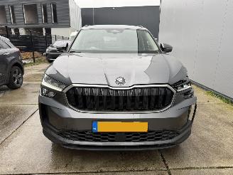 Skoda Kodiaq 1.5 TSI PHEV DSG 225 PK CAMERA-NAVI-LEDER-PDC picture 13