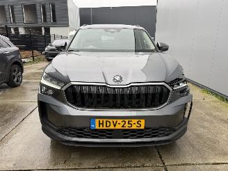 Skoda Kodiaq 1.5 TSI PHEV DSG 225 PK NAVI-LEDER-PDC-CAMERA picture 13