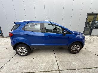 Ford EcoSport 1.0 EcoBoost Limited Edition-LEDER-KEYLESS-NAVI picture 7