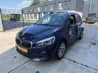 BMW 2-serie 225 XE iPerformance High Exe HUD-LED-NAVI picture 2