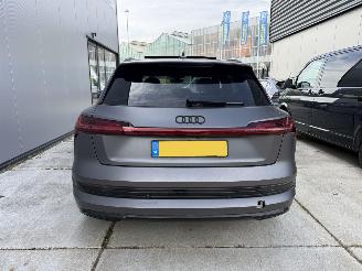 Audi E-tron E-TRON 55 quattro advanced 95 kWh-PANO-LEDER-360 CAMERA picture 7