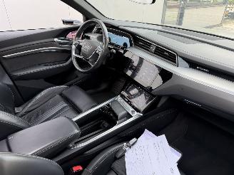 Audi E-tron E-TRON 55 quattro advanced 95 kWh-PANO-LEDER-360 CAMERA picture 6