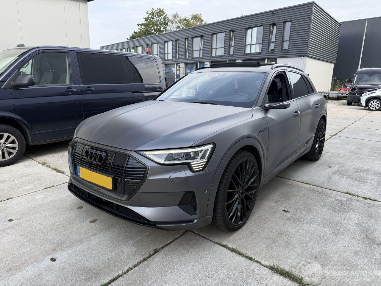 Audi E-tron E-TRON 55 quattro advanced 95 kWh-PANO-LEDER-360 CAMERA