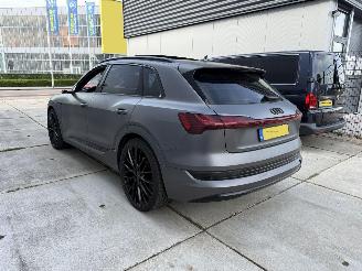 Audi E-tron E-TRON 55 quattro advanced 95 kWh-PANO-LEDER-360 CAMERA picture 4