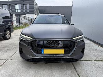 Audi E-tron E-TRON 55 quattro advanced 95 kWh-PANO-LEDER-360 CAMERA picture 13