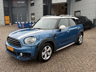 Avarii autoturisme Mini Countryman 1.5 Cooper ALL4 Chili Automaat 2018/2