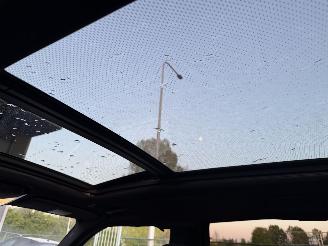 BMW X5 XDrive 45E M-Pakket High Executive SkyLounge Pano Harman Kardon Head-Up picture 24