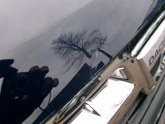 Dacia Duster 1.6 I picture 13