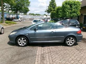 Peugeot 307 1.6-16V CABRIOLET CLIMA LEDER picture 2