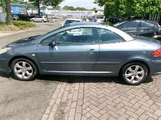 Peugeot 307 1.6-16V CABRIOLET CLIMA LEDER picture 20