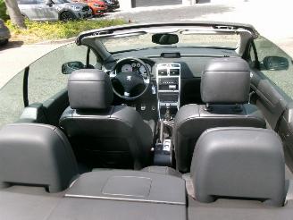 Peugeot 307 1.6-16V CABRIOLET CLIMA LEDER picture 13