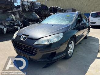 Peugeot 407 407 SW (6E), Combi, 2004 / 2010 2.0 16V picture 1