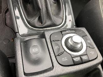 Renault Koleos 2.0 DCI  BOSE picture 15