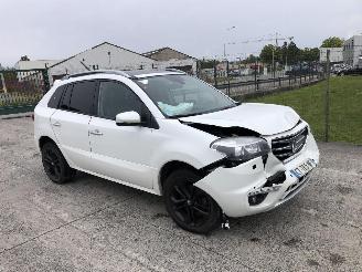Renault Koleos 2.0 DCI  BOSE picture 4
