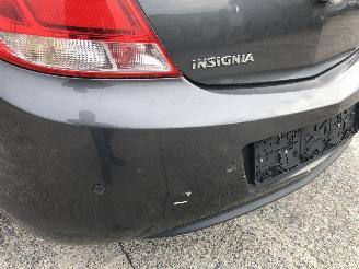 Opel Insignia 2.0 CDTI picture 10