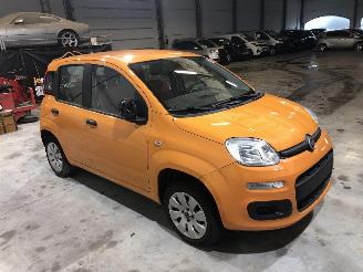 Fiat Panda 1.2 POP picture 1