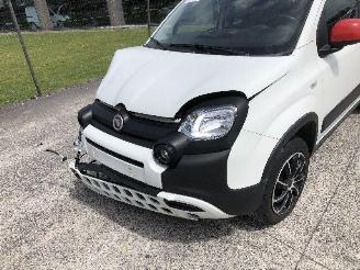 Fiat Panda 1.0 CITY CROSS picture 11
