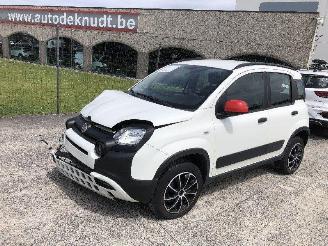 Fiat Panda 1.0 CITY CROSS picture 23