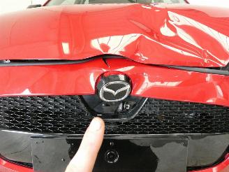 Mazda 2 HYBRID EXCLUSIVE-L picture 3