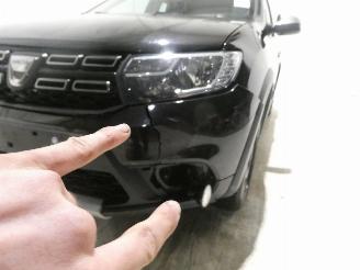 Dacia Sandero BS RAINBOW picture 3