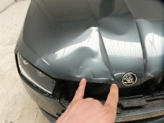 Skoda Fabia ACTIVE picture 5