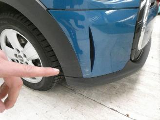 Mini Cooper  picture 10