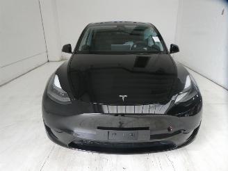 Tesla Model Y Y picture 2