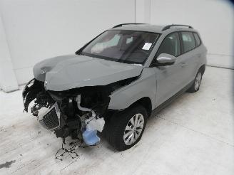 Skoda Karoq AMBITION picture 6