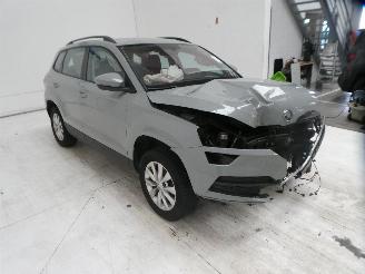 Skoda Karoq AMBITION picture 11