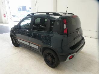 Fiat Panda CITY CROSS picture 6