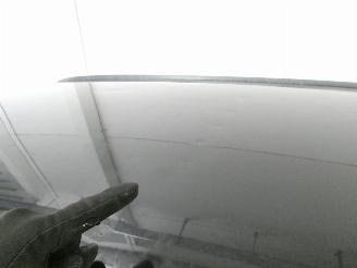 Volkswagen Passat GTE picture 16