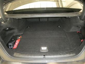 BMW 5-serie E IPERFORMANCE picture 20