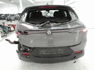Alfa Romeo Tonale 1.6D picture 8