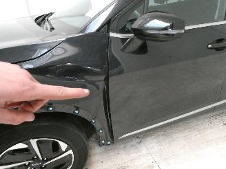 Kia Sportage  picture 17