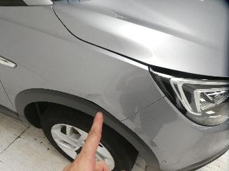 Opel Crossland X INNOVATI picture 11