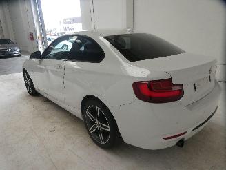 BMW 2-serie D picture 6