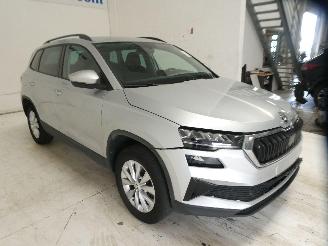 Skoda Karoq AMBITION picture 10