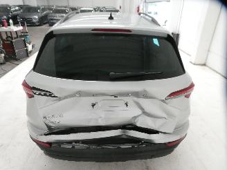 Skoda Karoq AMBITION picture 8