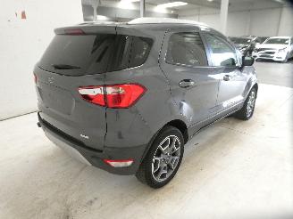Ford EcoSport  picture 7