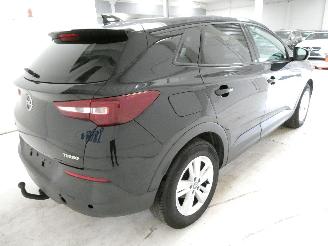 Opel Grandland  picture 6