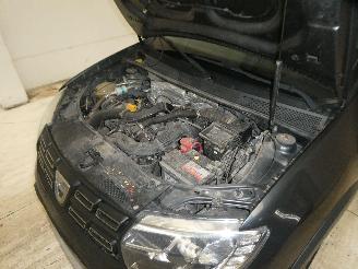 Dacia Sandero BS RAINBOW picture 25
