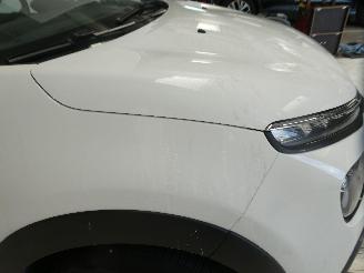 Citroën C3 III picture 19